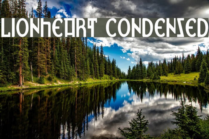 Lionheart Condensed Font examples