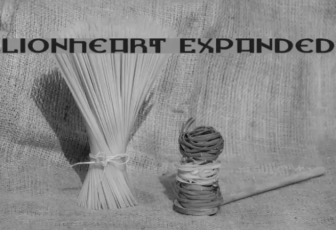 Lionheart Expanded Font examples