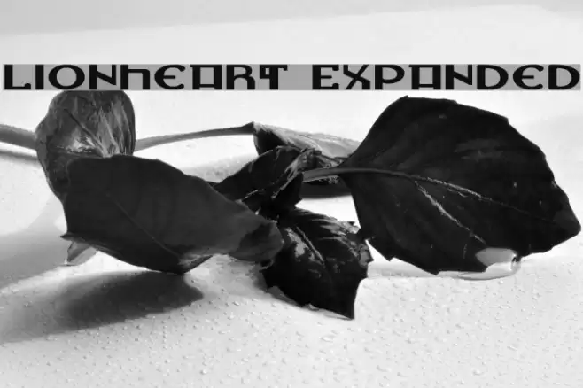 Lionheart Expanded Font examples