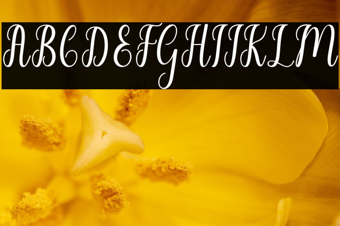 LiontineScript Example 1