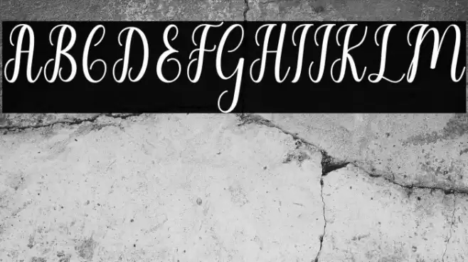 LiontineScript Font examples