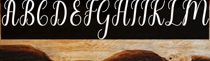 LiontineScript Example 3