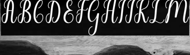 LiontineScript Font examples