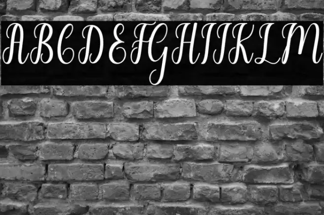 LiontineScript Font examples