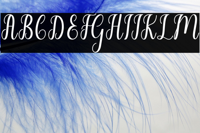 LiontineScript Example 2