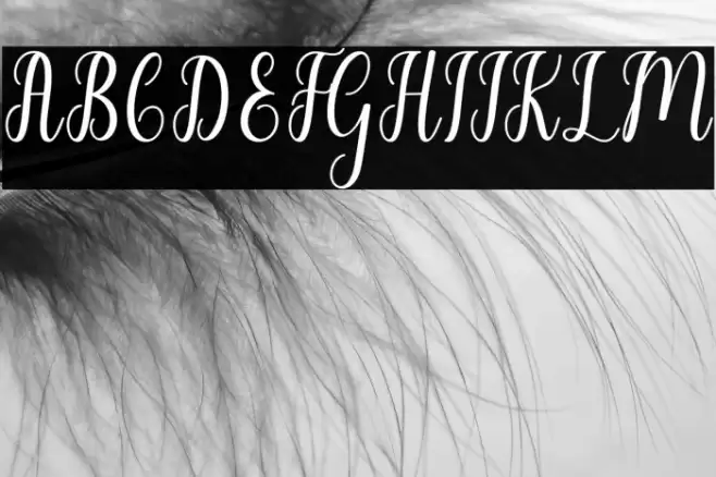 LiontineScript Font examples