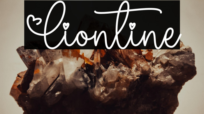 Liontine Example 1