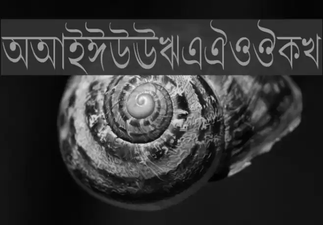 LipiCon Font examples