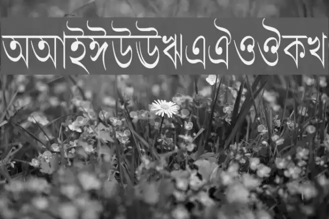 LipiCon Font examples