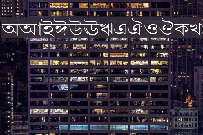 LipiExpand Font examples
