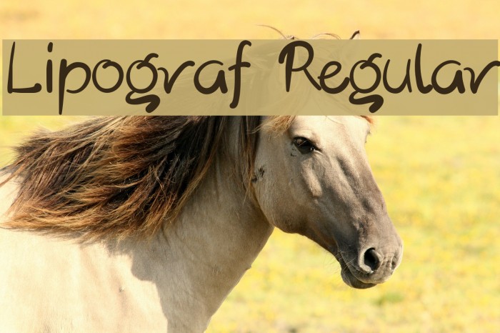 Lipograf Regular Example 2