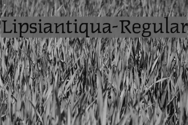 Lipsiantiqua-Regular Font examples