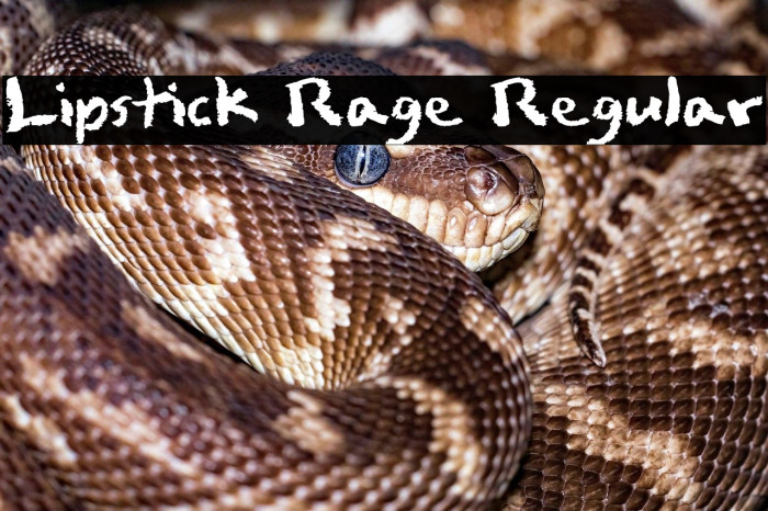 Lipstick Rage Regular Example 1