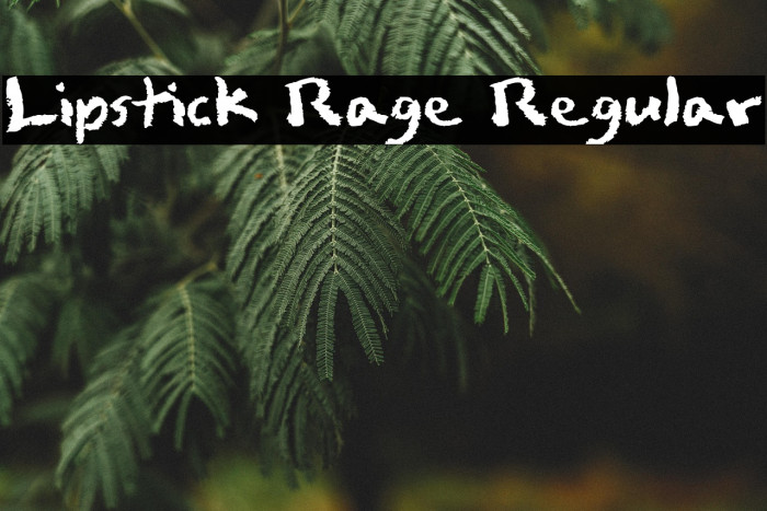 Lipstick Rage Regular Example 2