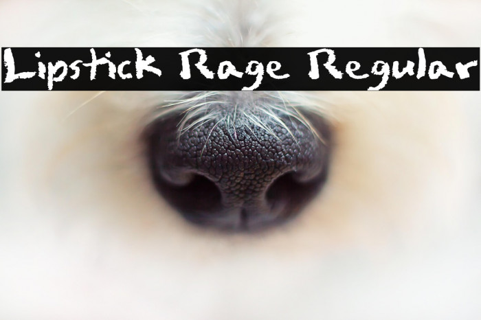 Lipstick Rage Regular Example 3