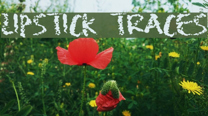 Lipstick Traces Font examples