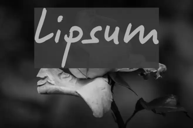 Lipsum Example 3