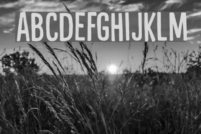 Liquid Amber DEMO Regular Font examples