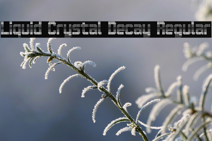 Liquid Crystal Decay Regular Example 1