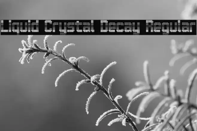 Liquid Crystal Decay Regular Font examples