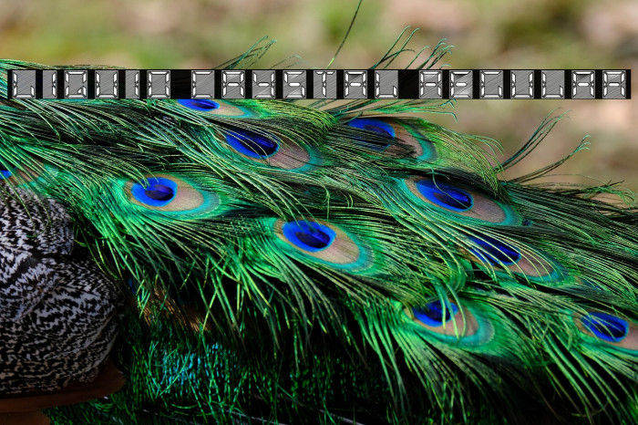 Liquid Crystal Regular Example 2