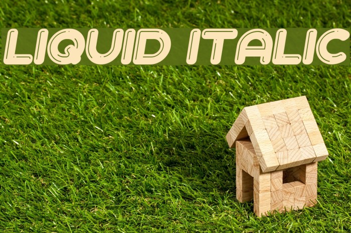 Liquid Italic Font examples