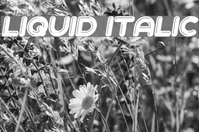Liquid Italic Font examples