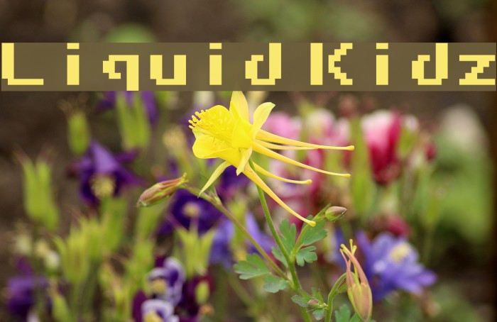 Liquid Kidz Font examples