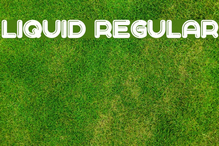 Liquid Regular Example 3