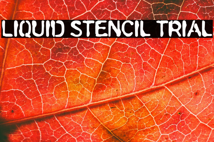 Liquid Stencil trial Example 2