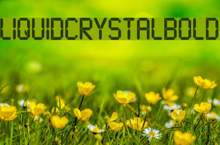LiquidCrystal-Bold Font examples