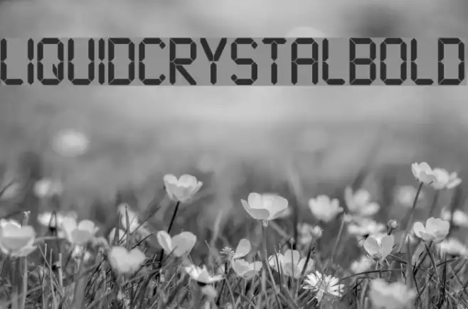 LiquidCrystal-Bold Example 3