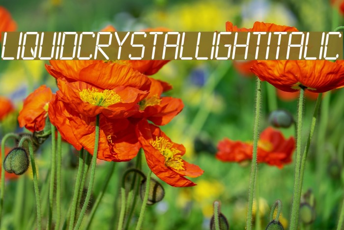 LiquidCrystal-LightItalic Font examples