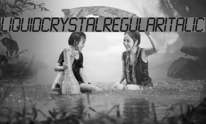 LiquidCrystal-RegularItalic Example 1