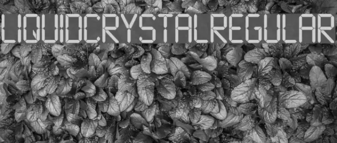 LiquidCrystal-Regular Font examples