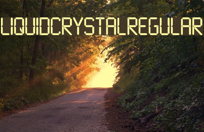 LiquidCrystal-Regular Font examples