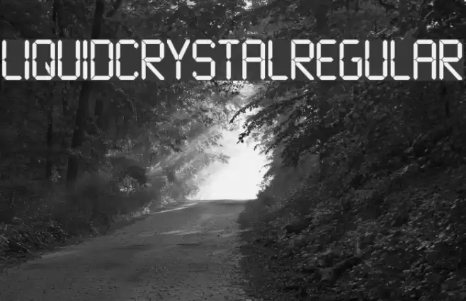 LiquidCrystal-Regular Font examples