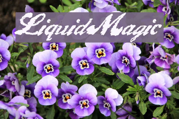 LiquidMagic Font examples