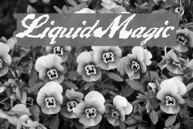 LiquidMagic Font examples