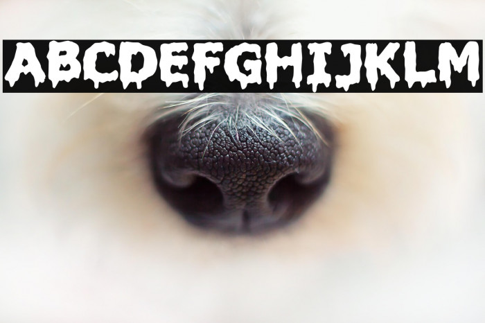 Liquidism part 2 Example 1