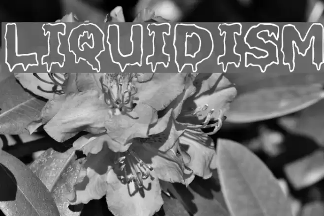 Liquidism Font examples