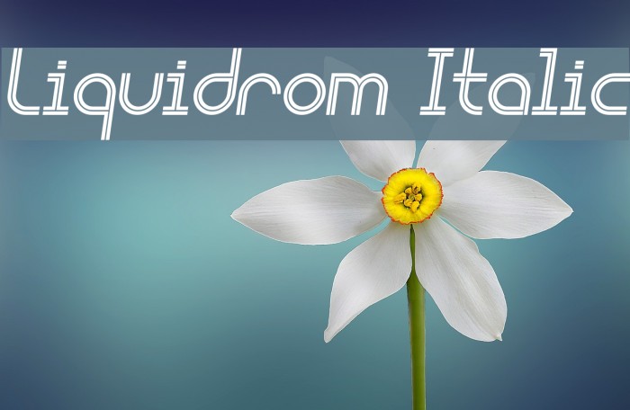 Liquidrom Italic Font examples