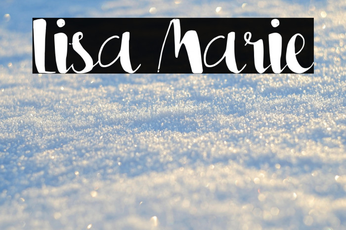 Lisa Marie Example 1