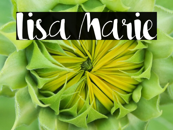 Lisa Marie Example 2