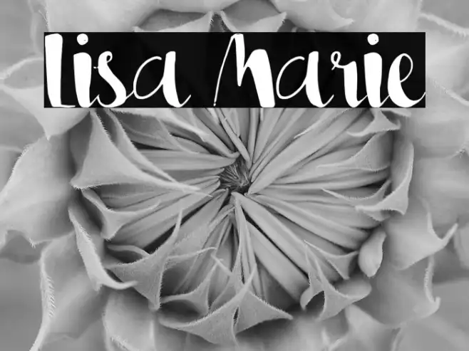 Lisa Marie Example 2