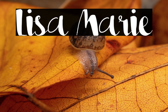 Lisa Marie Example 3