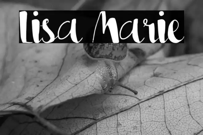 Lisa Marie Example 3