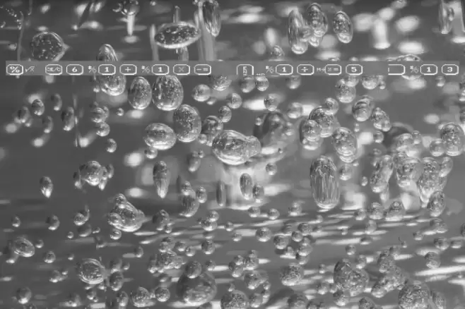 LisaCalc Paper Raw Font examples