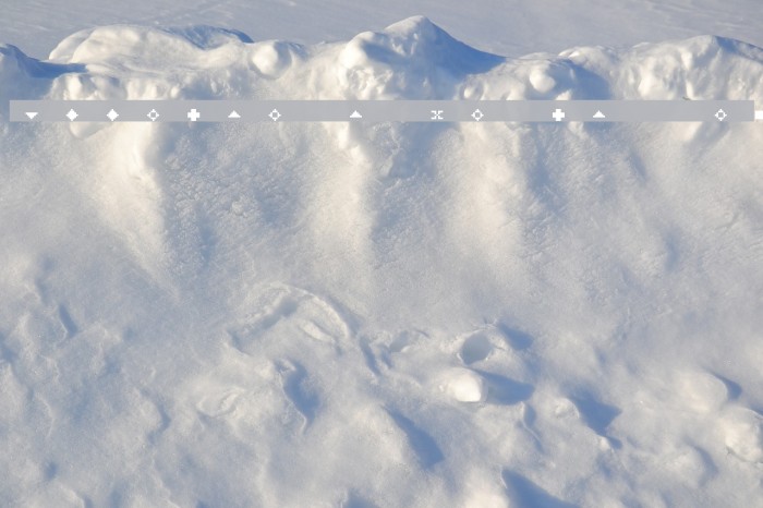 LisaGraph Paper Raw Example 2