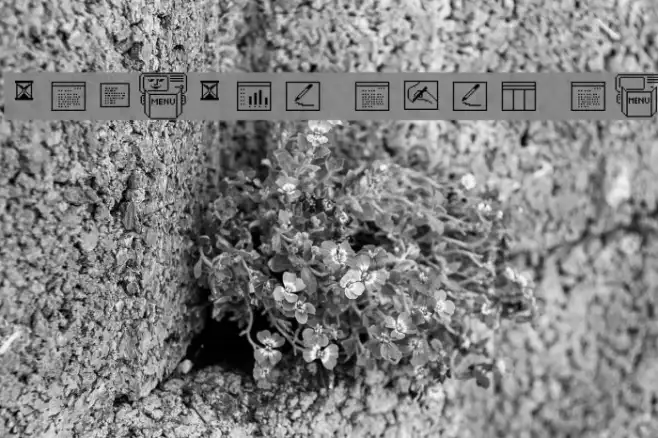 LisaGuide Paper Raw Example 2